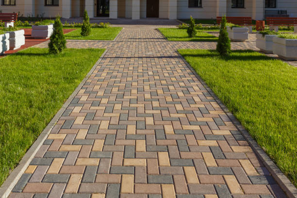 Best Driveway Paving Company  in Spring Valley, CA